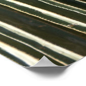 オルガンパイプサボテン ポスター (角)