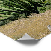 オルガンパイプ国家記念碑の砂漠のサボテン ポスター (角)