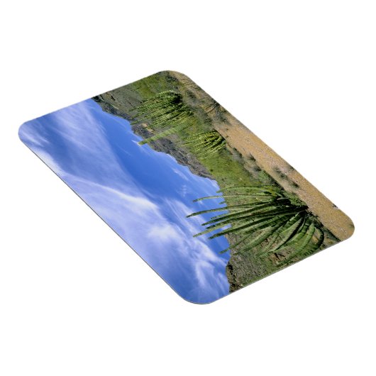 オルガンパイプ国家記念碑の砂漠のサボテン マグネット (右側)