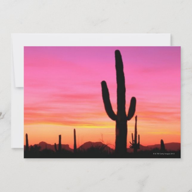 オルガンパイプ国家記念碑 (正面)