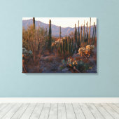 オルガンパイプ国家記念碑 キャンバスプリント (インサイチュ (ウッドフロア))