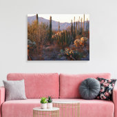 オルガンパイプ国家記念碑 キャンバスプリント (インサイチュ (リビング))