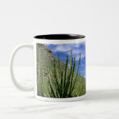 オルガンパイプ国立記念物の砂漠のサボテン ツートーンマグカップ (左)