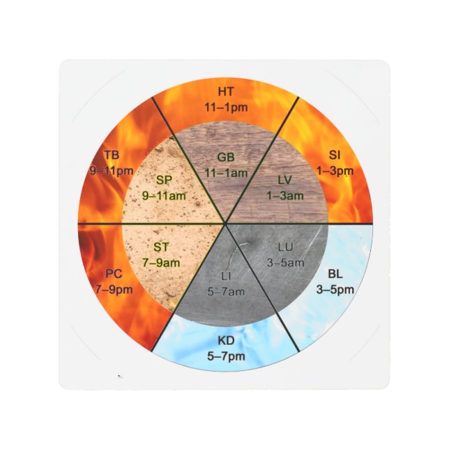 オルガン中国のクロック経絡の鍼治療要素 メタルプリント (正面)