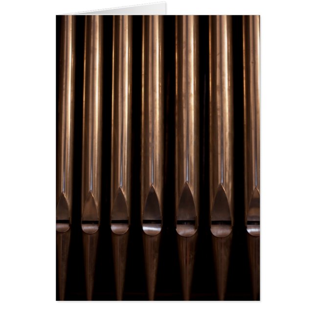 オルガン管 (正面)