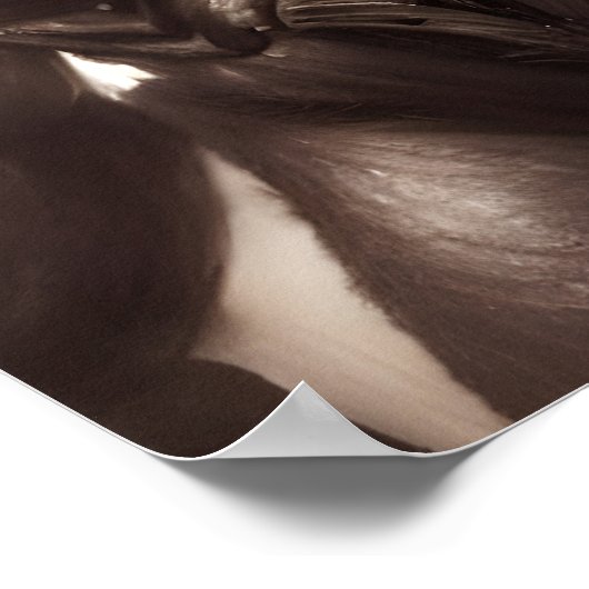 オルク・ブルート ポスター (角)