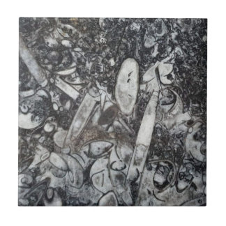 オルソセラス・ゴニアタイト化石 タイル