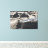 オルダンンスシェルの静的ディスプレイ キャンバスプリント (インサイチュ (ウッドフロア))