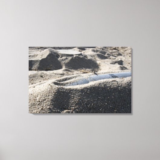 オルダンンスシェルの静的ディスプレイ キャンバスプリント (正面)