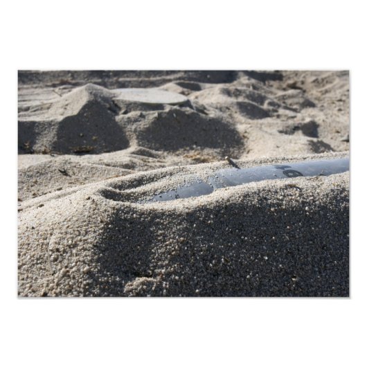 オルダンンスシェルの静的ディスプレイ フォトプリント            (正面)