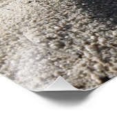 オルダンンスシェルの静的ディスプレイ フォトプリント            (角)