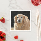 オルディゴールデン スタンダードカクテルナプキン (インサイチュ)