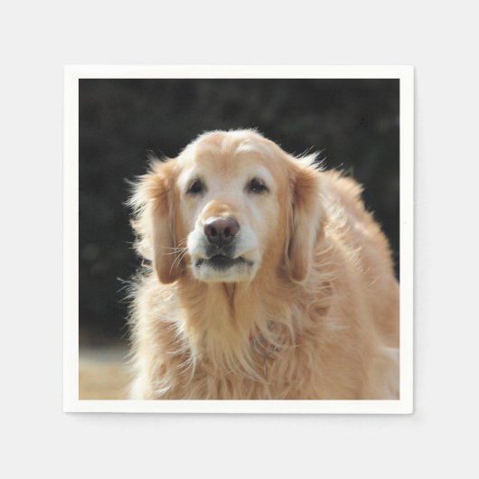 オルディゴールデン スタンダードカクテルナプキン (正面)