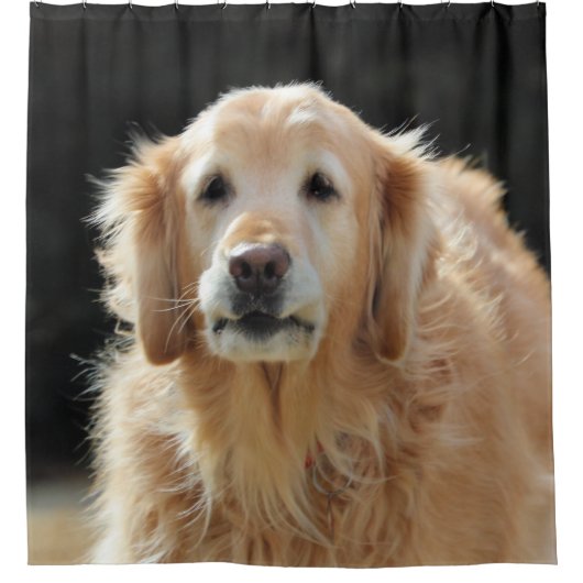 オルディ・ゴルディ シャワーカーテン (正面)