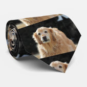 オルデンゴールデン ネクタイ (ロール)