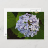 オルデンシー ポストカード (正面/裏面)