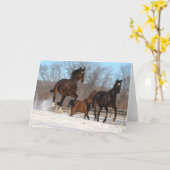 オルデンブルクとハノーバー風のマレスインスノー カード (黄色い花)