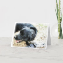 オルトンスモーキーとマット