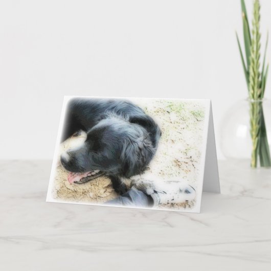 オルトンスモーキーとマット カード (正面)