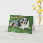 オルドク カード (黄色い花)