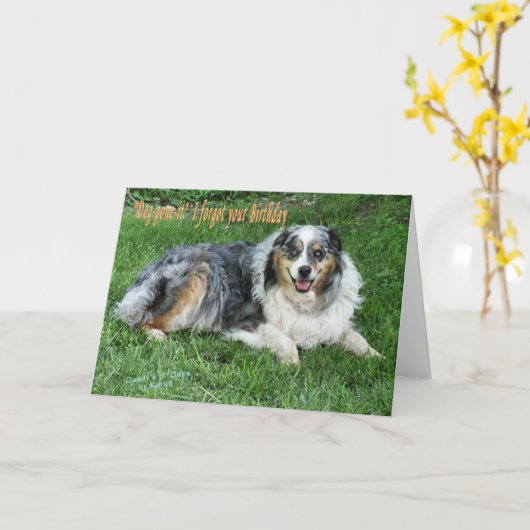 オルドク カード (黄色い花)