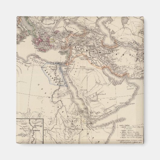 オルビステラルムレグニアッシリテンポペ マグネット (正面)