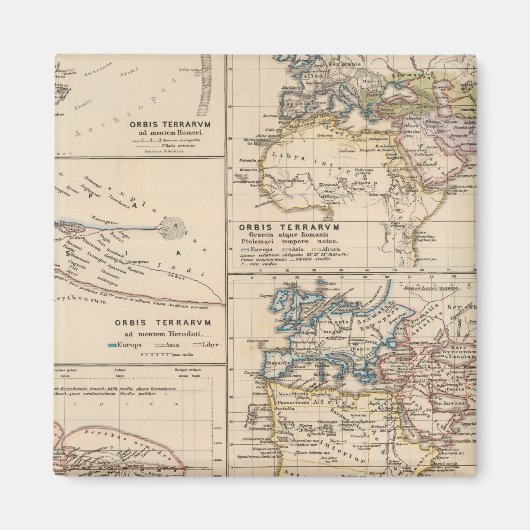 オルビステラルム マグネット (正面)