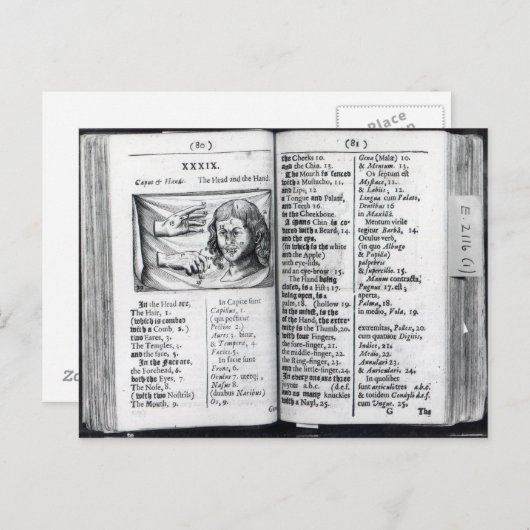 「オルビス・ゼンスアリウム・ピクトス」 ポストカード (正面/裏面)