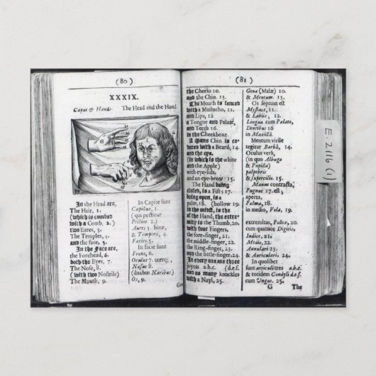 「オルビス・ゼンスアリウム・ピクトス」 ポストカード (正面)