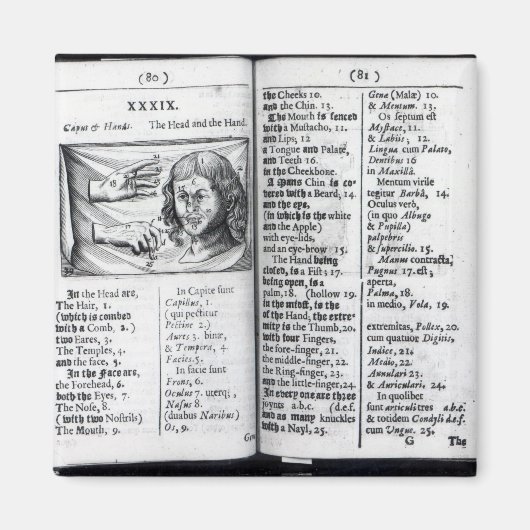 「オルビス・ゼンスアリウム・ピクトス」 マグネット (正面)