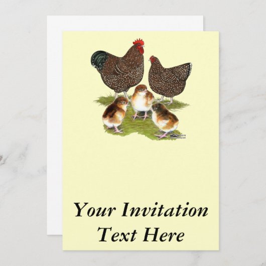 オルピントンジュビリーチキンファミリー 招待状 (正面/裏面)