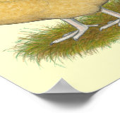 オルピントンズレモンカッコウ ポスター (角)