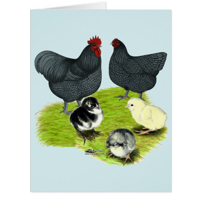 オルピントンブルーチキンファミリー (正面)