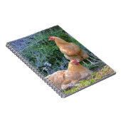 オルピントンヘン手帳 ノートブック (右側)