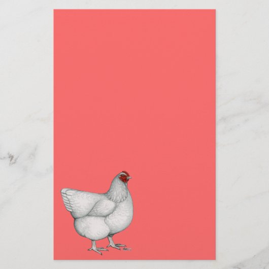 オルピントンホワイトヘン 便箋 (正面)