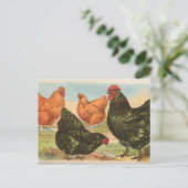 オルピントン ポストカード (スタンド正面)