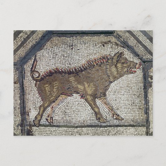 オルフェウスが動物たちを魅了する ポストカード (正面)