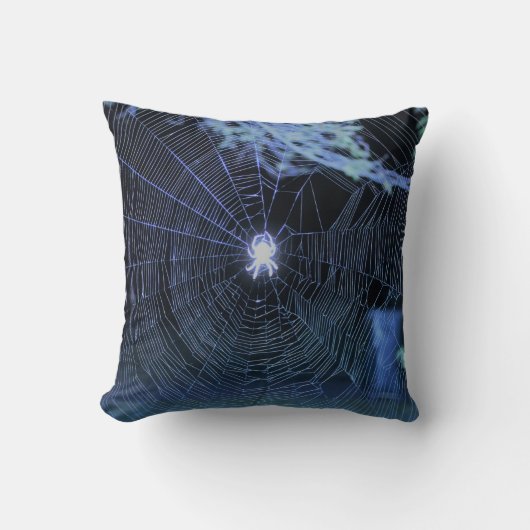オルブウィーバースパイダー夜装飾用クッション クッション (正面)