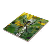 オルブスパイダーインくもの巣 タイル (側面)