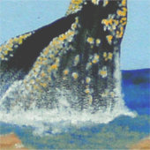 オルメディーズ壁壁画，ブリーチング・ワール シール (正面)