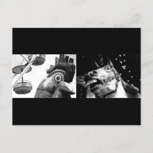 オル熱狂するスター、ホースに熱狂する会う ポストカード