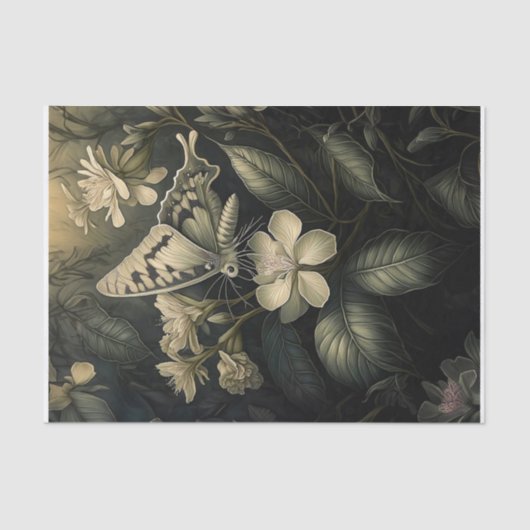 オレアンダー魔法、Moth in Twilight 薄葉紙 (正面)