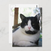 オレオ・ザ・キャット ポストカード (正面/裏面)