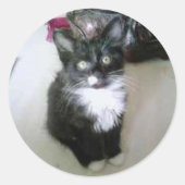 「オレオ」 ラウンドシール (正面)