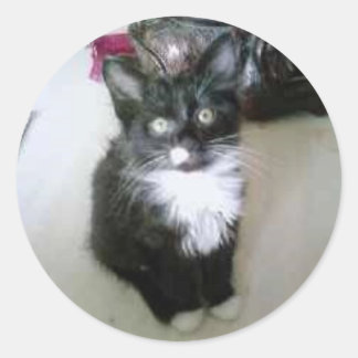 「オレオ」 ラウンドシール