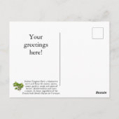 オレカスタマイズガノはがき ポストカード (裏面)