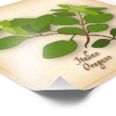 オレガノイタリアンフォトプリント フォトプリント            (角)