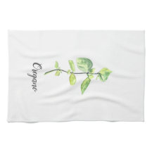 オレガノハーブウォーターイラストレーション