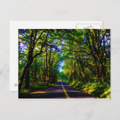 オレゴランニングンの緑の森を通る道路の ポストカード (正面/裏面)