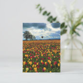 オレゴンのチューリップファーム ポストカード (スタンド正面)